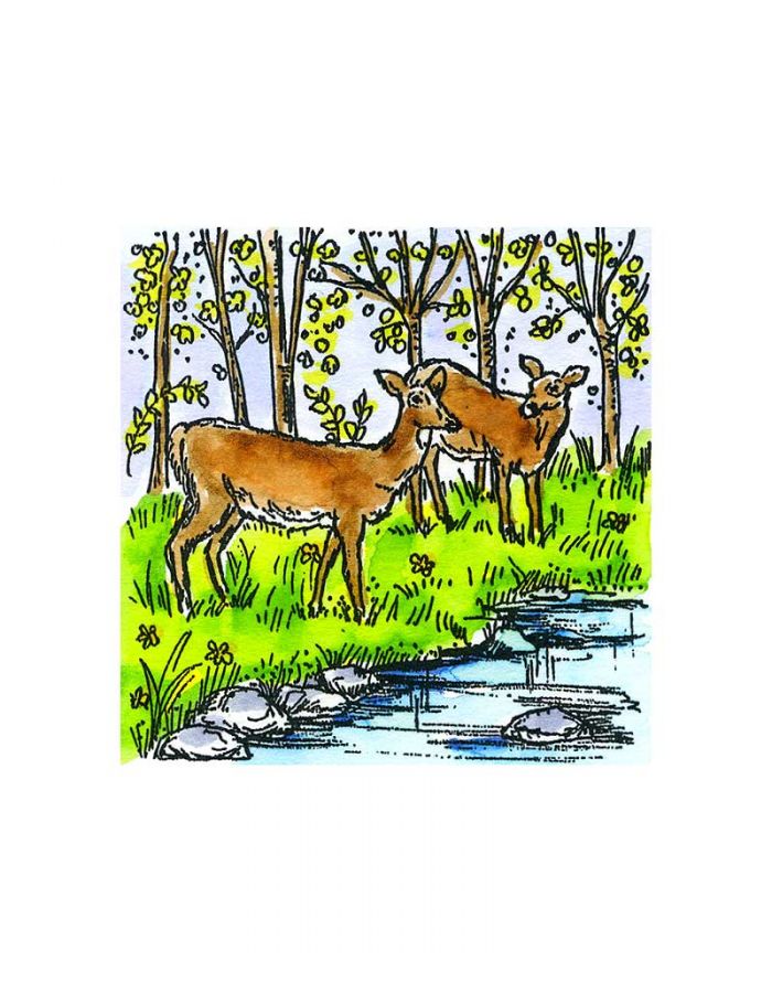 Small Spring Deer and Stream - CC10928