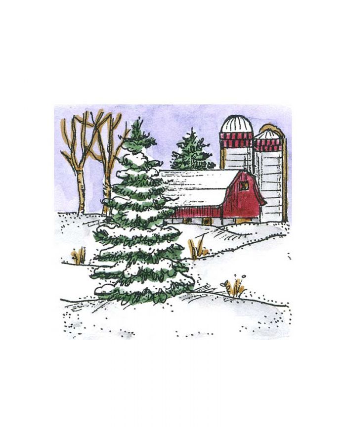 Small Spruce and Barn - C10724