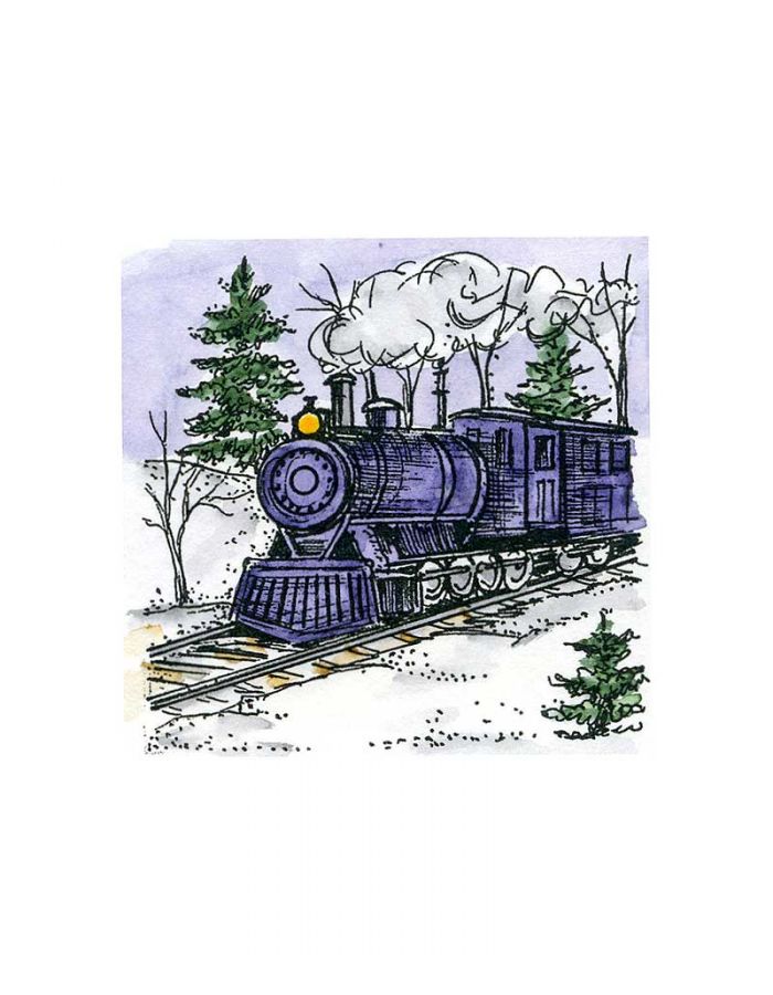 Small Train in Spruce Forest - C10723