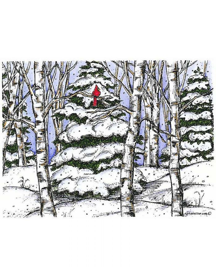 Snowy Spruce, Birch and Cardinal - R6777
