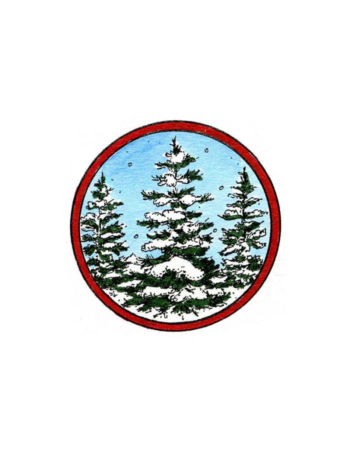 Snowy Spruce - C10165
