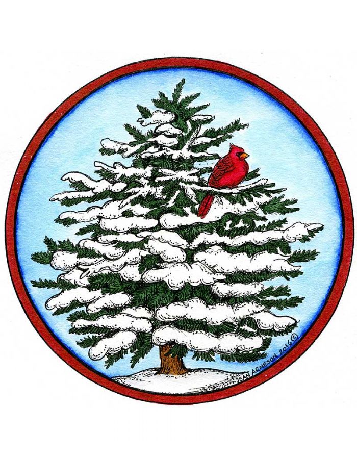 Snowy Spruce With Cardinal - PP10160
