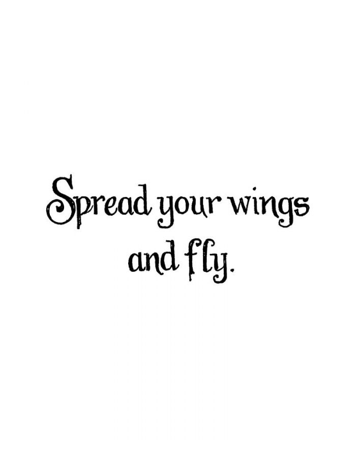 Spread Your Wings And Fly - D11113