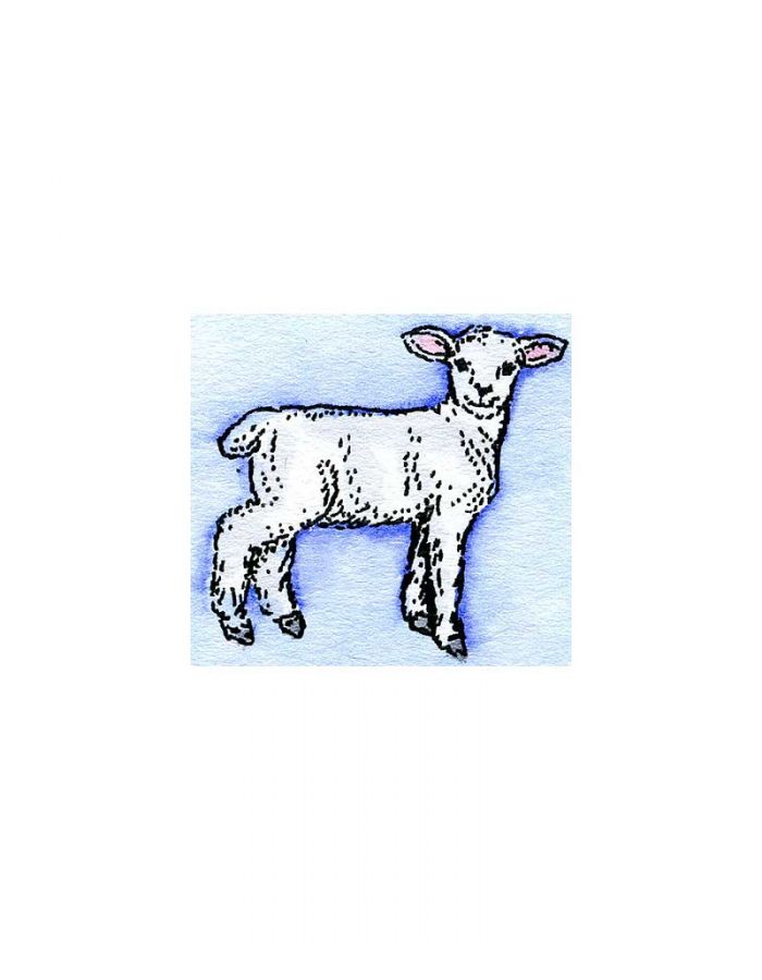 Spring Lamb - B9949