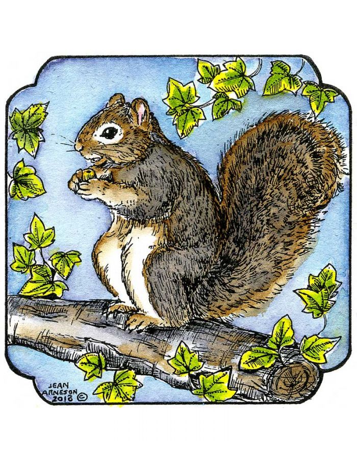 Squirrel In Curved Frame - MM9036