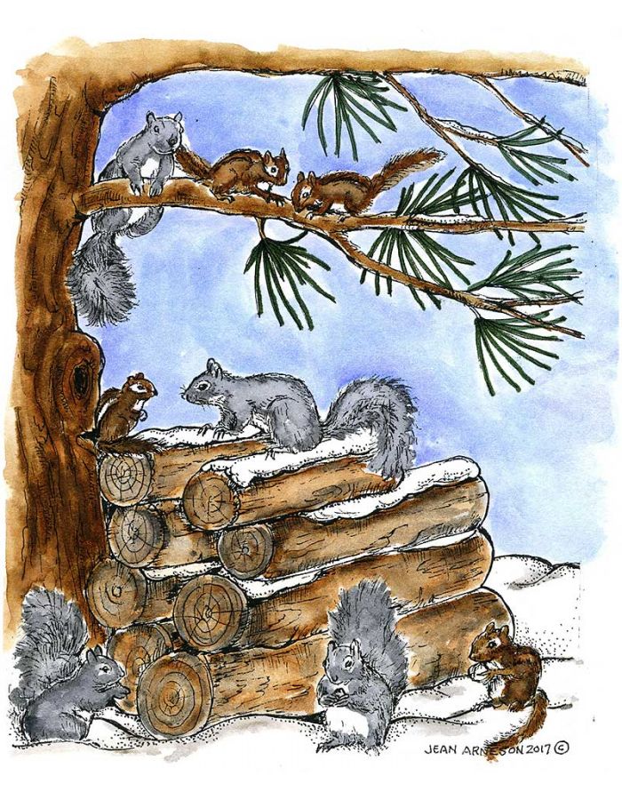 Squirrels and Chipmunks on Log Pile - P10342