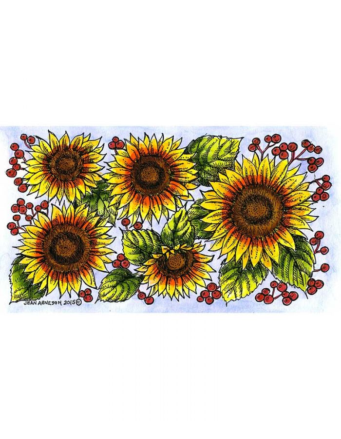 Stunning Sunflower Border - NN11176