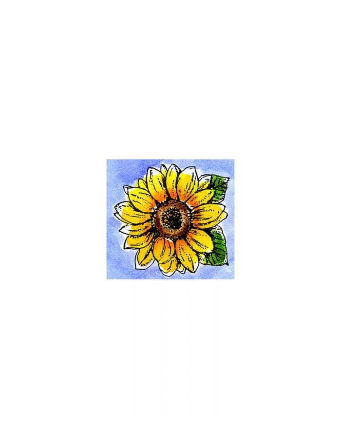 Sunflower Blossom - AA10300