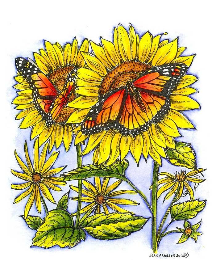 Sunflower with Monarch - P7298