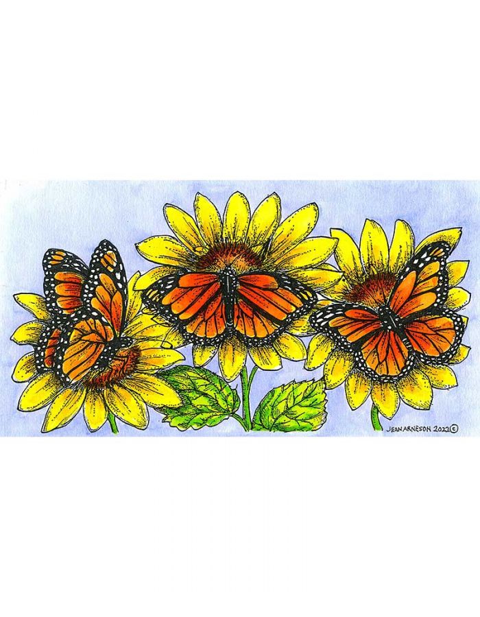 Sunflowers and Monarchs - NN11105