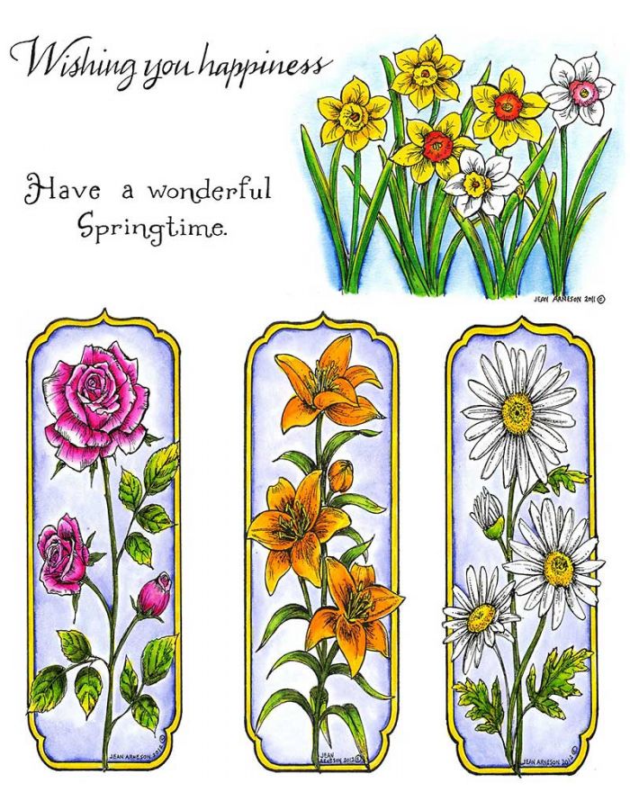 Daffodil Flower Rectangle Wood Mounted Rubber Stamp NORTHWOODS M8493 New 