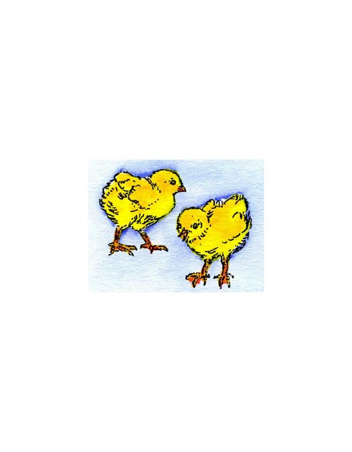Tiny Chick Pair - B9957