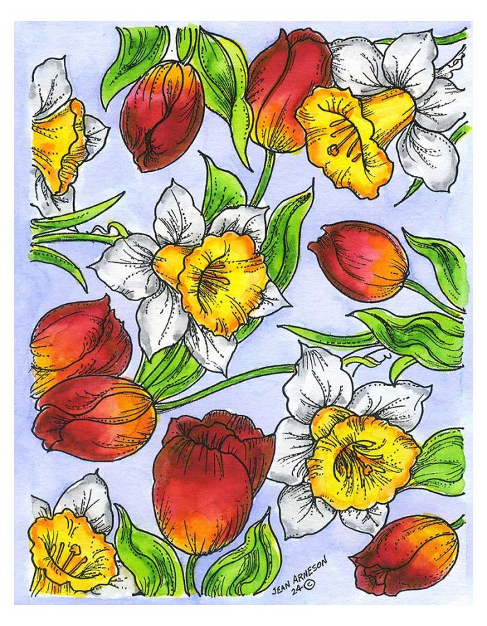 Tulip and Daffodil Background - P11440