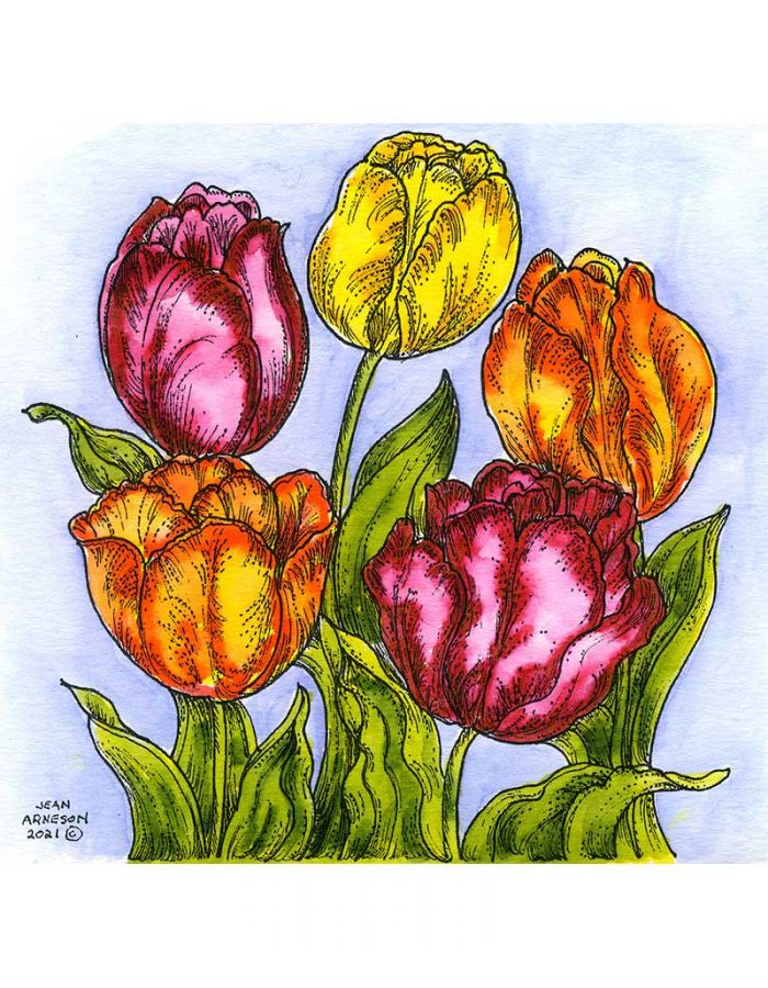 Tulip Cluster - PP10906