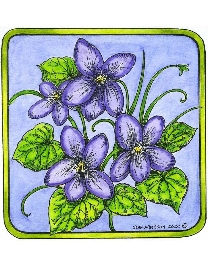 Violets In Square Frame - PP10898