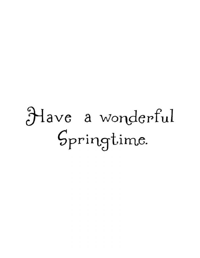 Have A Wonderful Spring - D8037