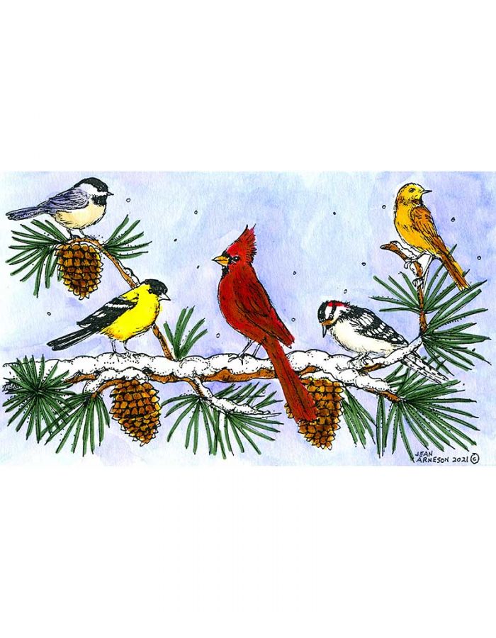 Winter Birds on Pine Branch - NN11042