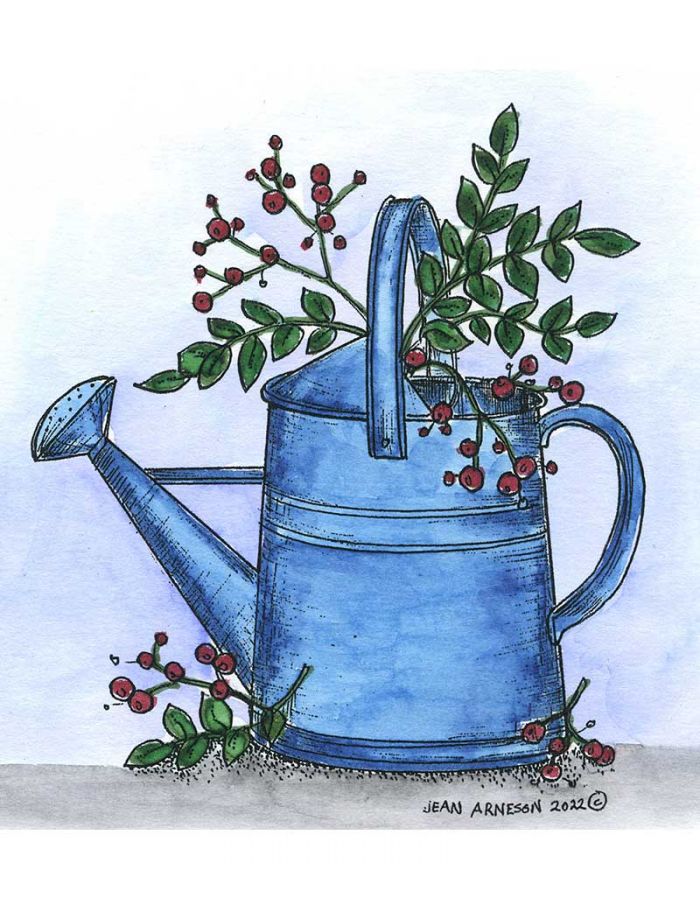 Watering Can and Greens - M11234