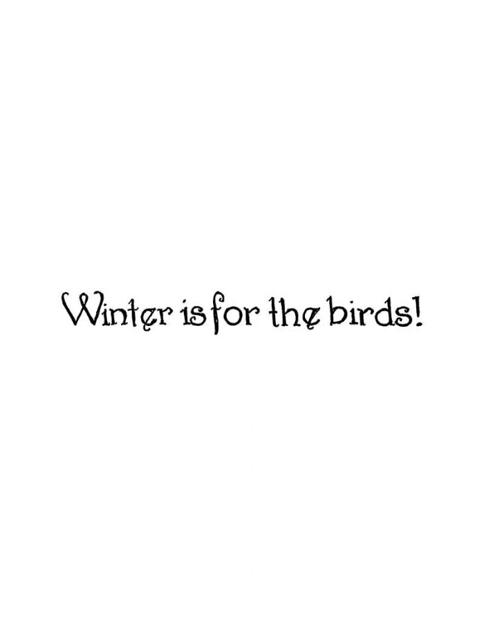 Winter Is For The Birds - DD11047