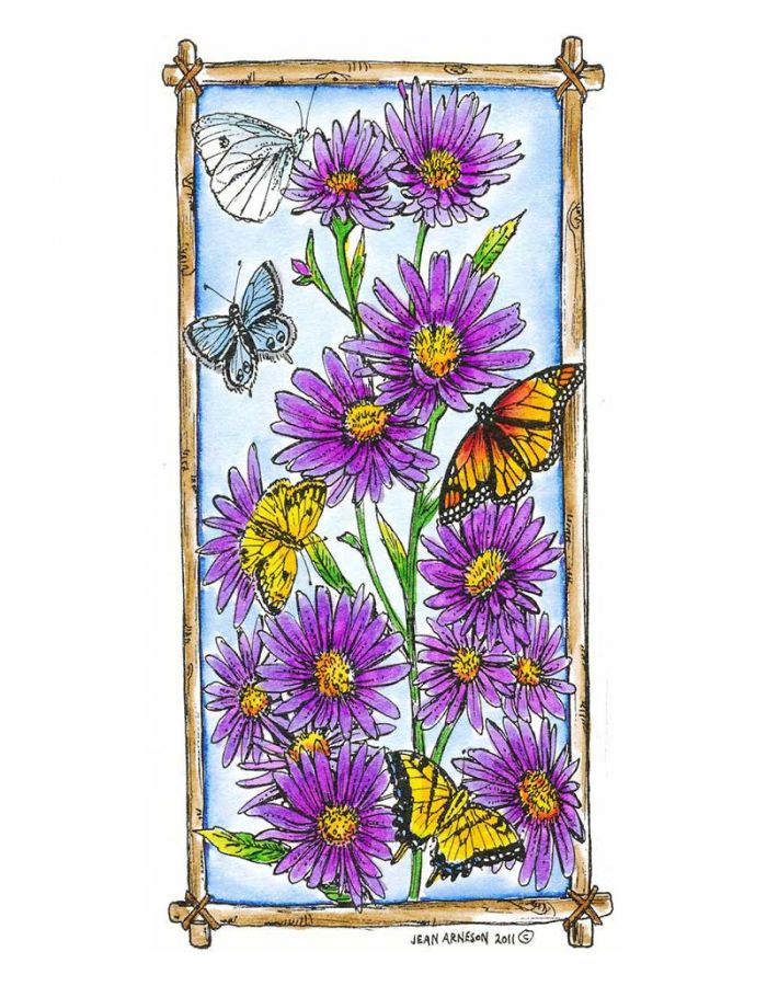 Wood Asters and Butterflies in Bark Frame - O8023