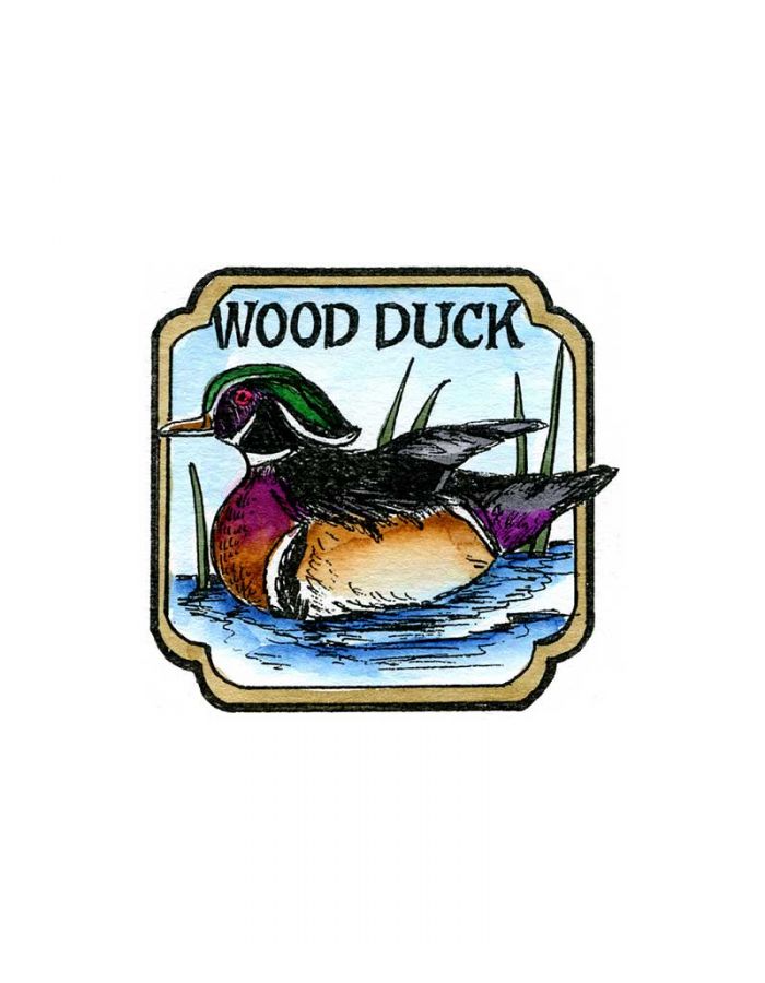 Wood Duck in Curved Frame - CC10208