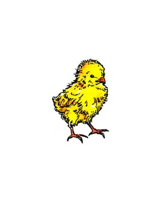 Baby Chick - C4348
