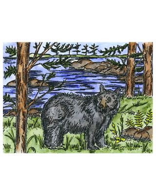 Bear, Pines and Lake - NN10619