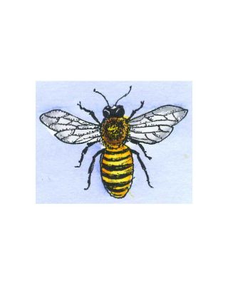 Bee - B11479