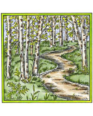Birch Walking Path - PP10620