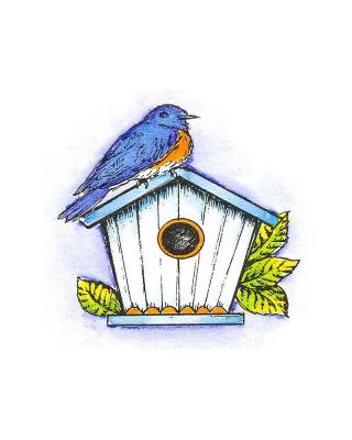 Bluebird on Birdhouse - C8420