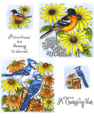 Blue Jay Pair And Coneflowers & Baltimore Oriole And Black Eyed Susans - NO-255