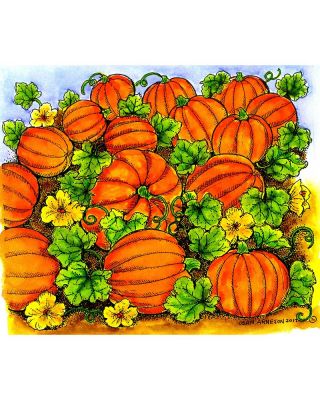 Bountiful Pumpkin Patch - P10308