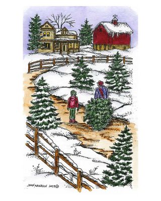 Bringing Home The Tree and Spruce - NN10712