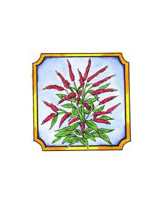 Butterfly Bush in Notched Frame - CC9933