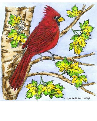 Cardinal and Maple Tree - PP11532