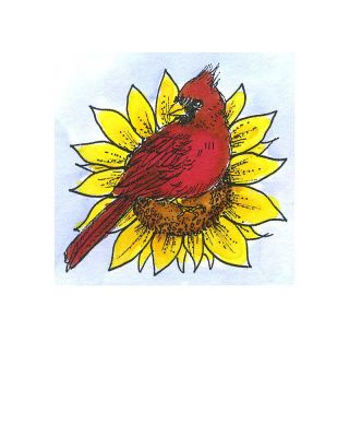 Cardinal and Sunflower - CC11533