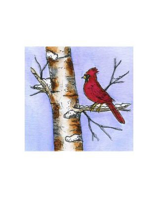 Cardinal On Birch - CC11057