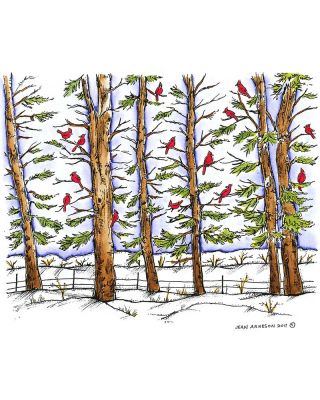 Cardinals in Pine Forest - P8293