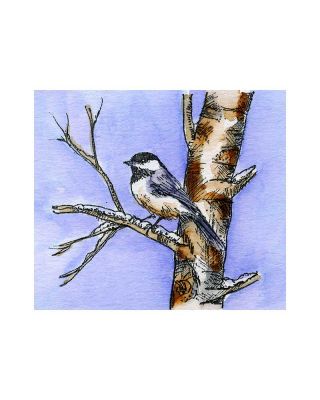 Chickadee On Birch - CC11053