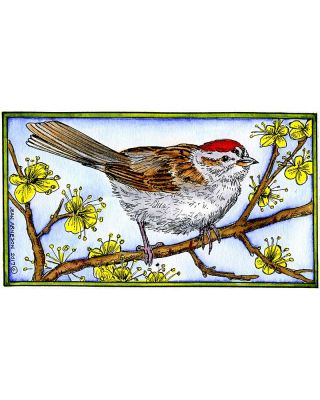 Chirping Sparrow On Blossom Branch - NN10201