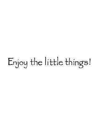 Enjoy The Little Things - DD6950