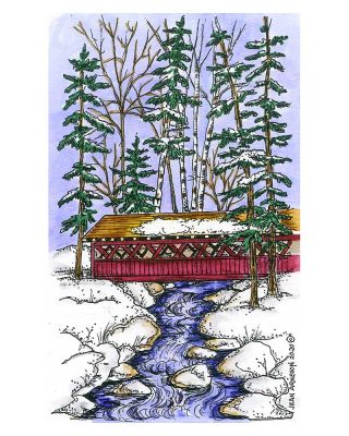 Covered Bridge With Pines - NN10889