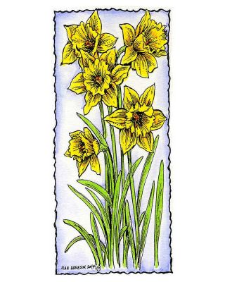Daffodils in Deckle Frame - J9478