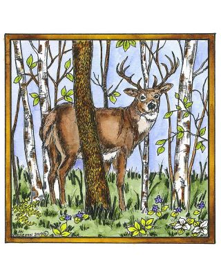 Deer and Birch Trees - PP10628