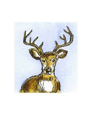 Deer Head - C10857