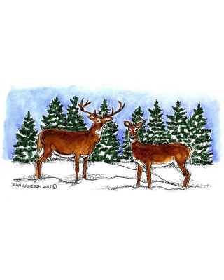 Deer Pair and Pines - O10343