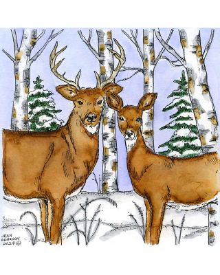 Deer Pair In Birch Forest - PP11556