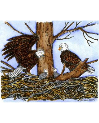 Eagle Family on Nest - P9985