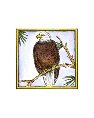 Eagle in Square - CC8540