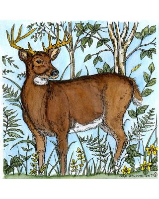 Eleanor's Deer in Forest - PP10212
